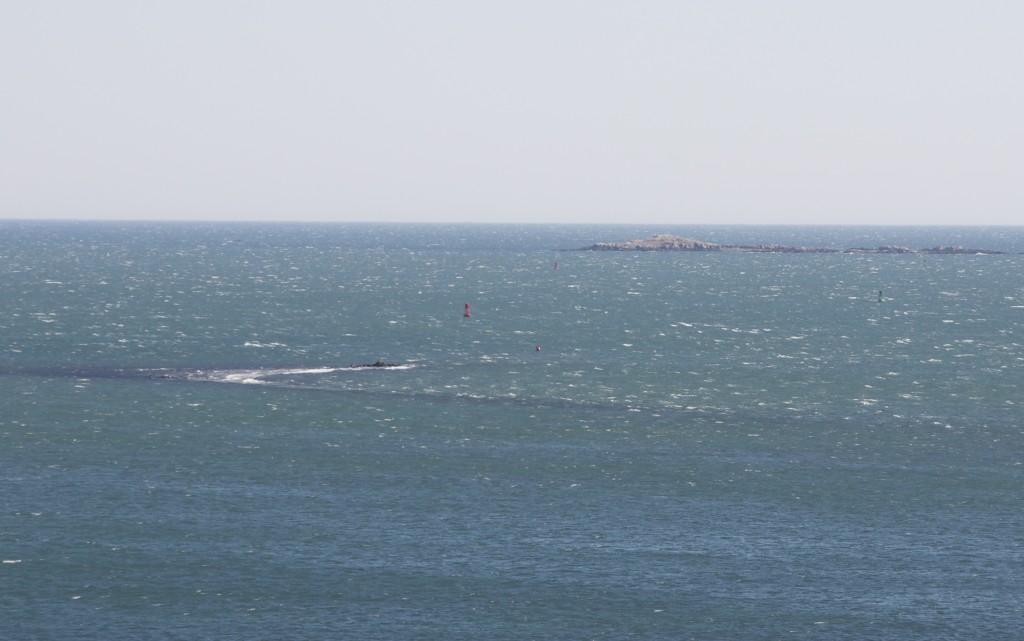 dangers of boston harbor