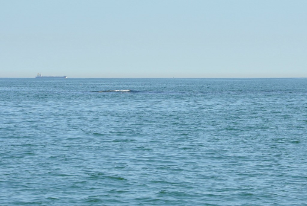 dangers of boston harbor