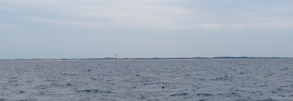 Race_Point