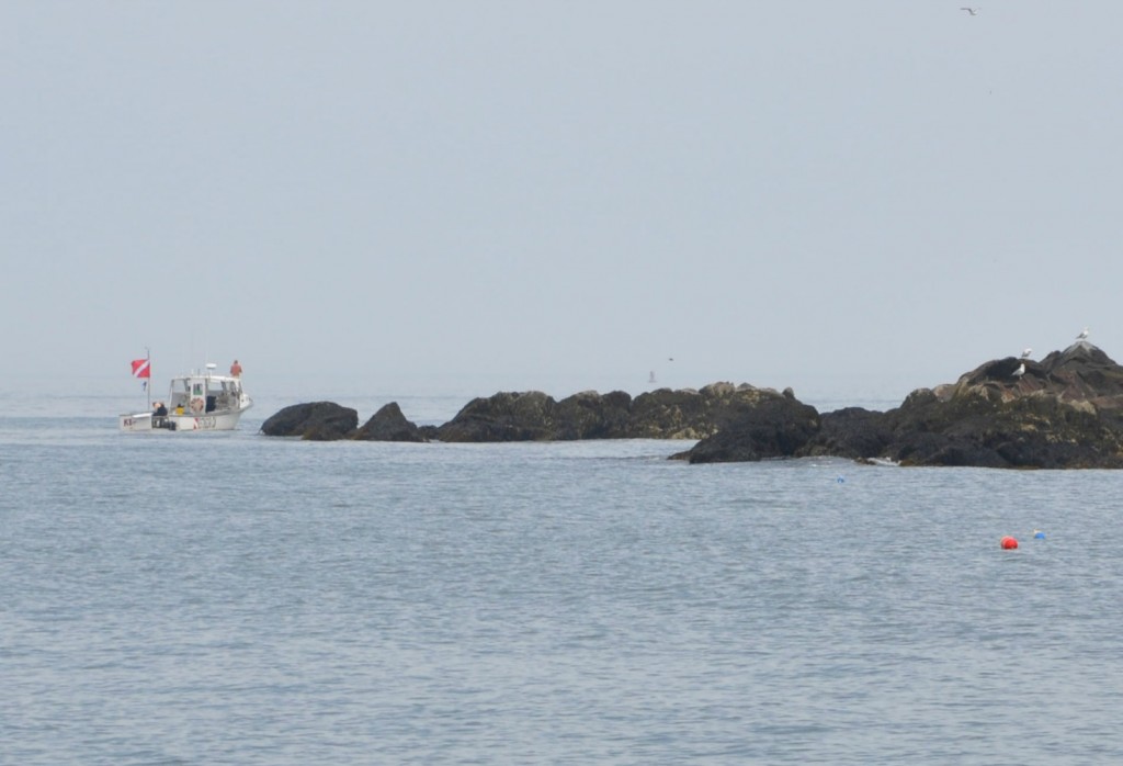 boston harbor