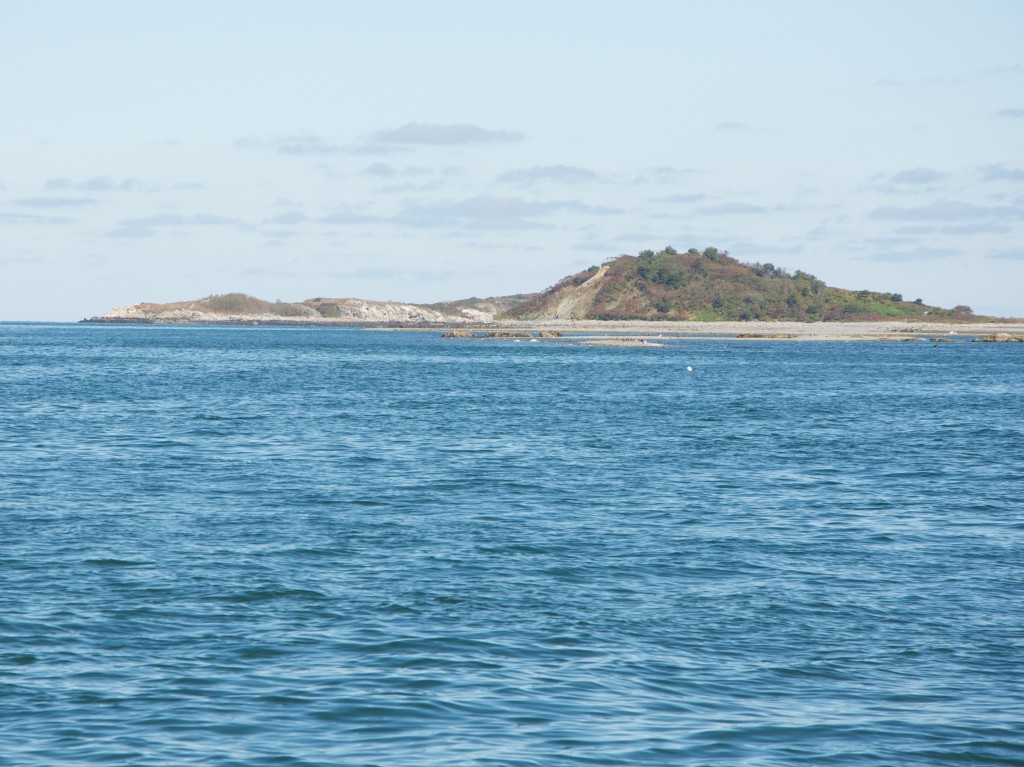 boston harbor