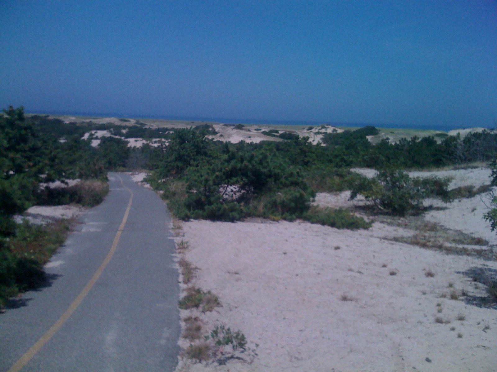 Plands