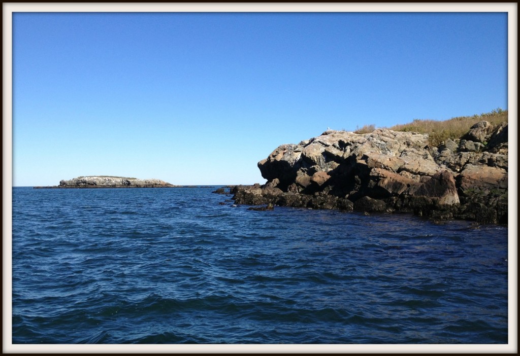 boston harbor islands