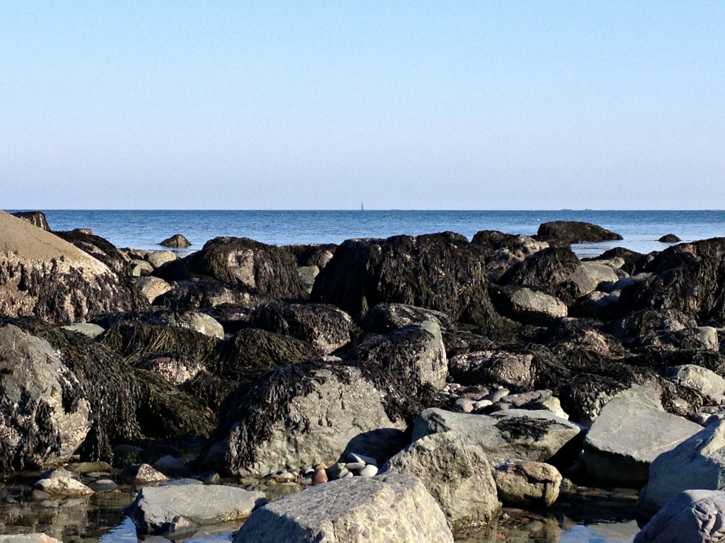 Cohasset Beach