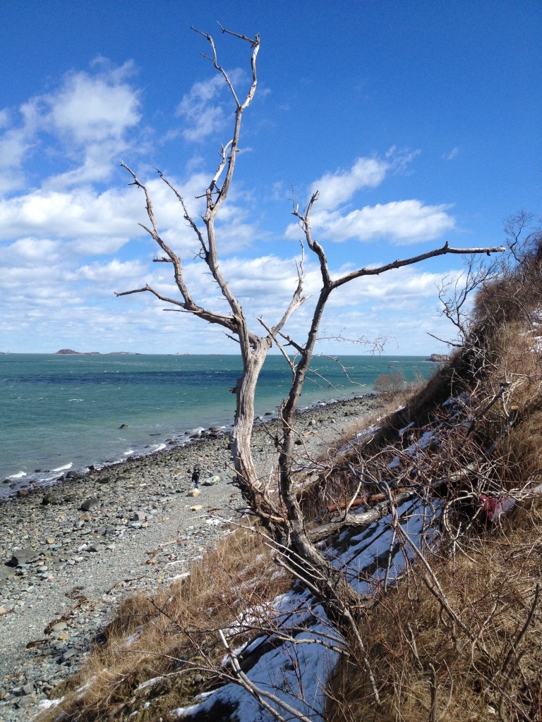 Peddocks Island Winter