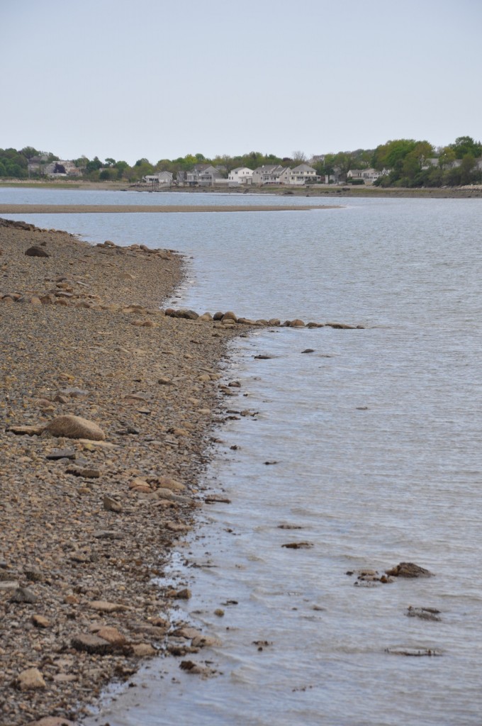 bumpkin island