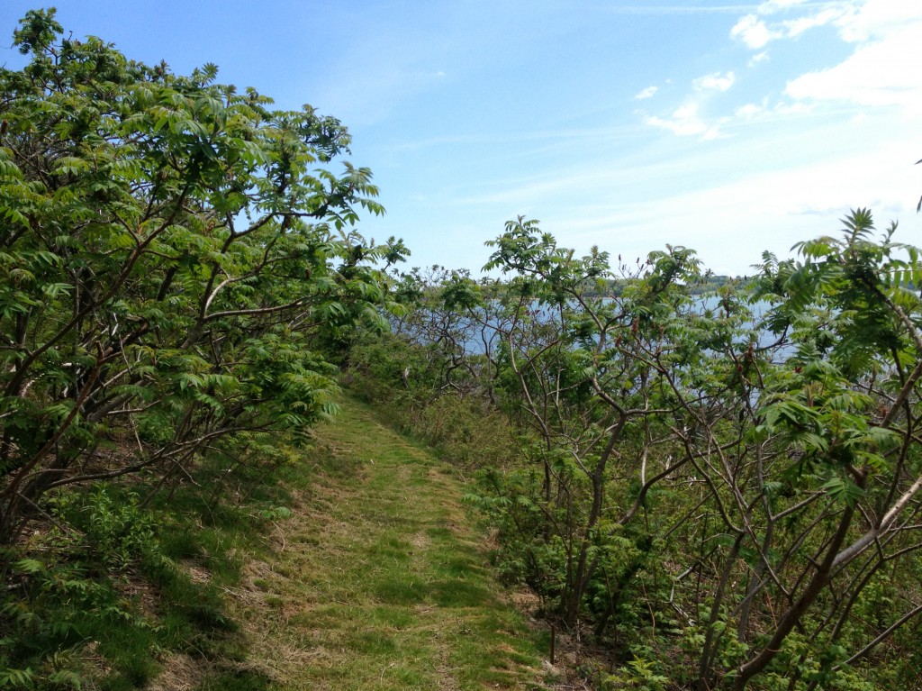 boston harbor island trail