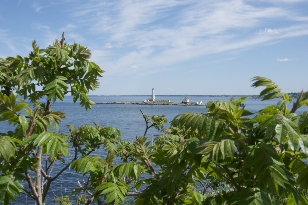 great brewster island