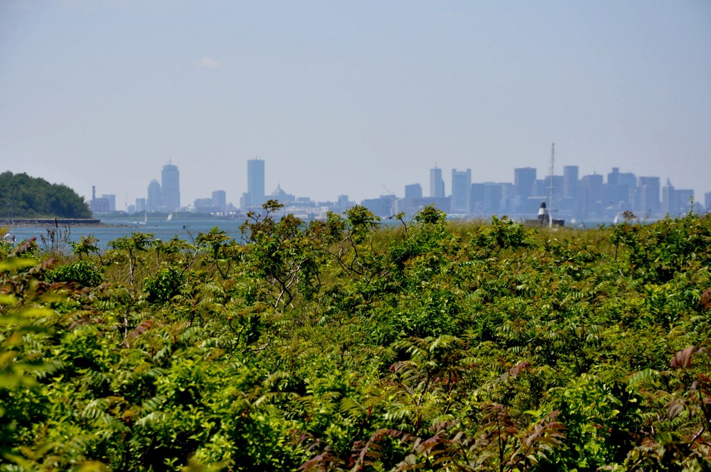 City of Boston view