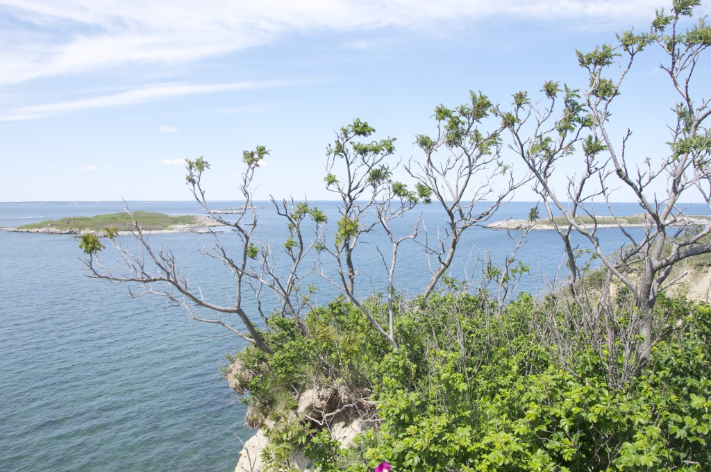 brewster island