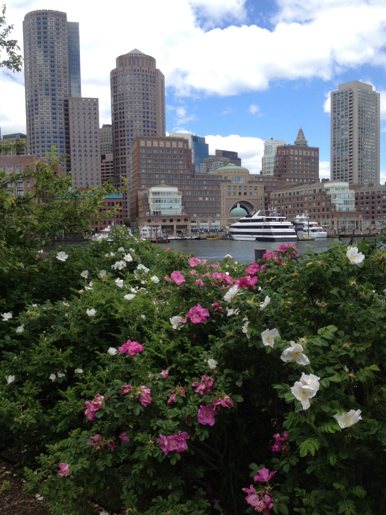 boston harbor