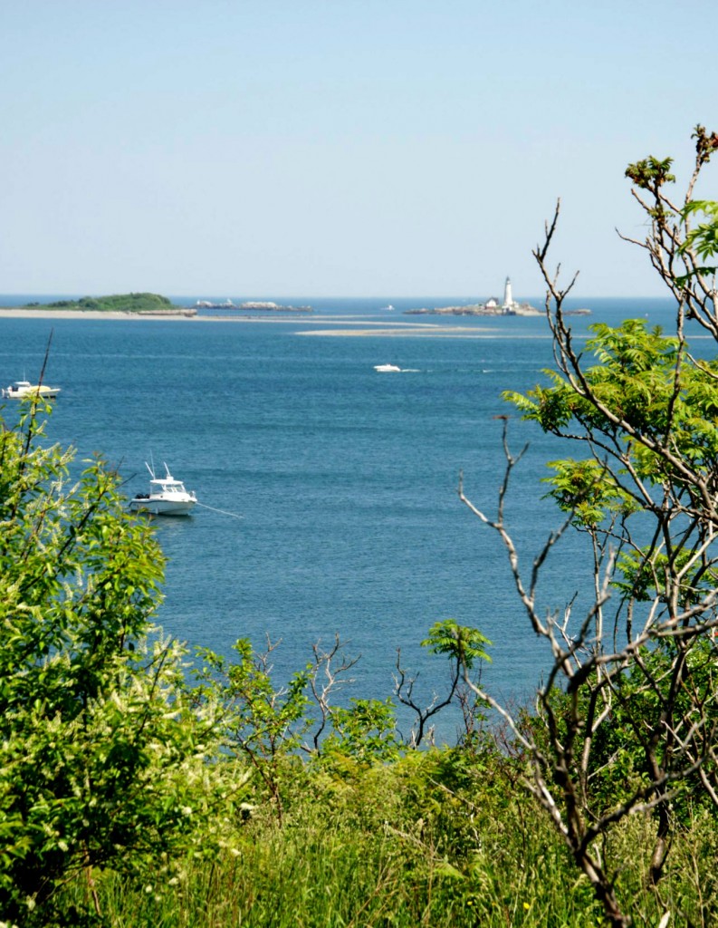 Boston Light View