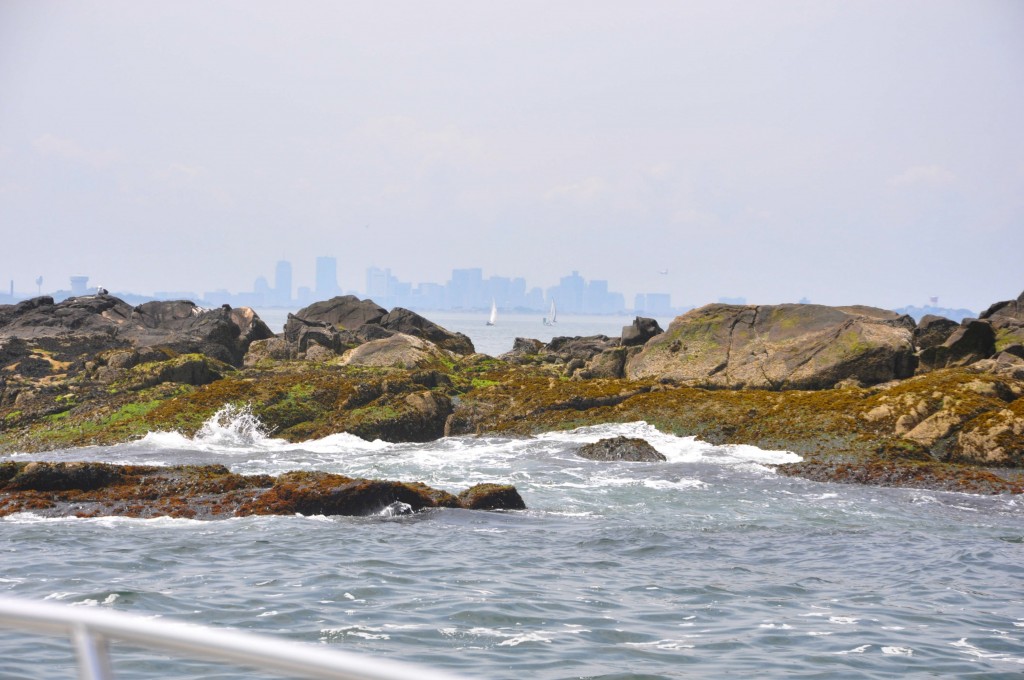 boston harbor