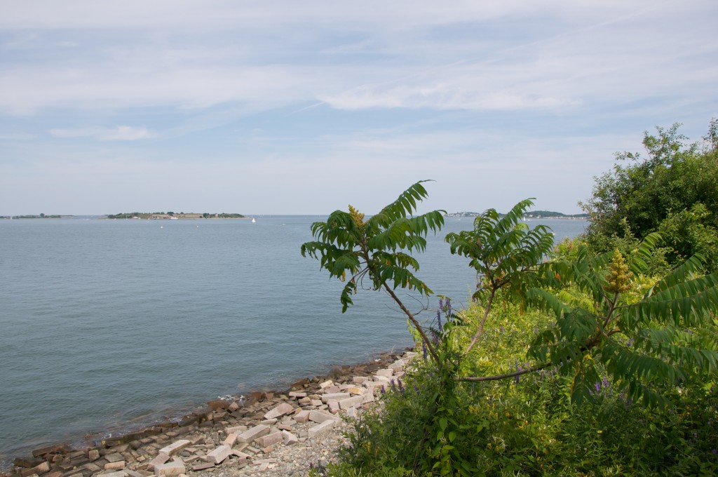 boston harbor