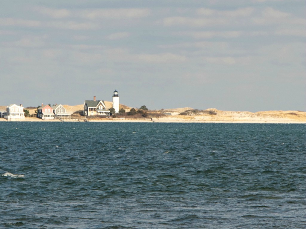 sandy neck