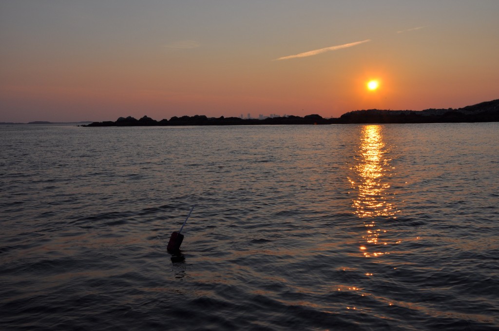 Boston Sunset