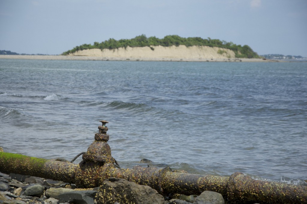 peddocks island boston harbor