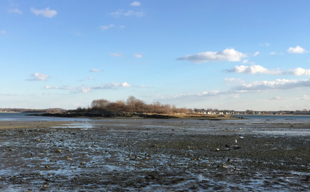 low tide quincy