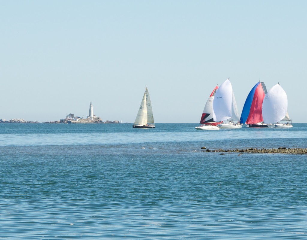 spinnaker sailing