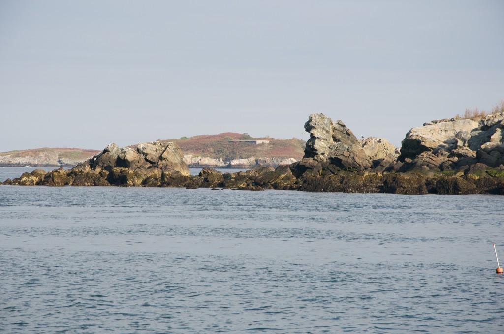 boston harbor