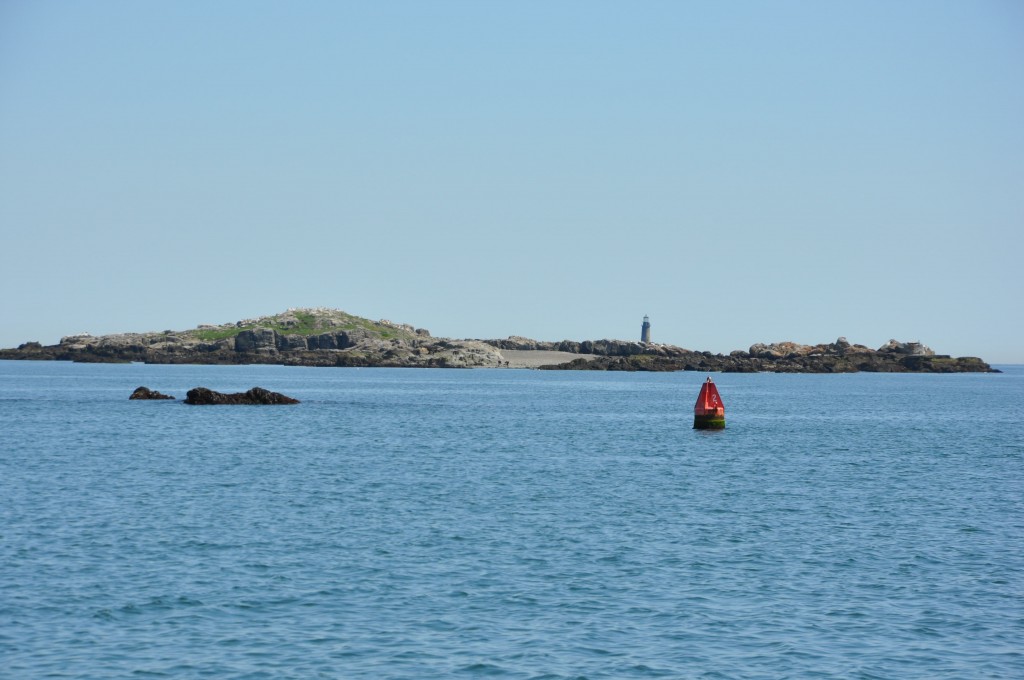 Boston harbor