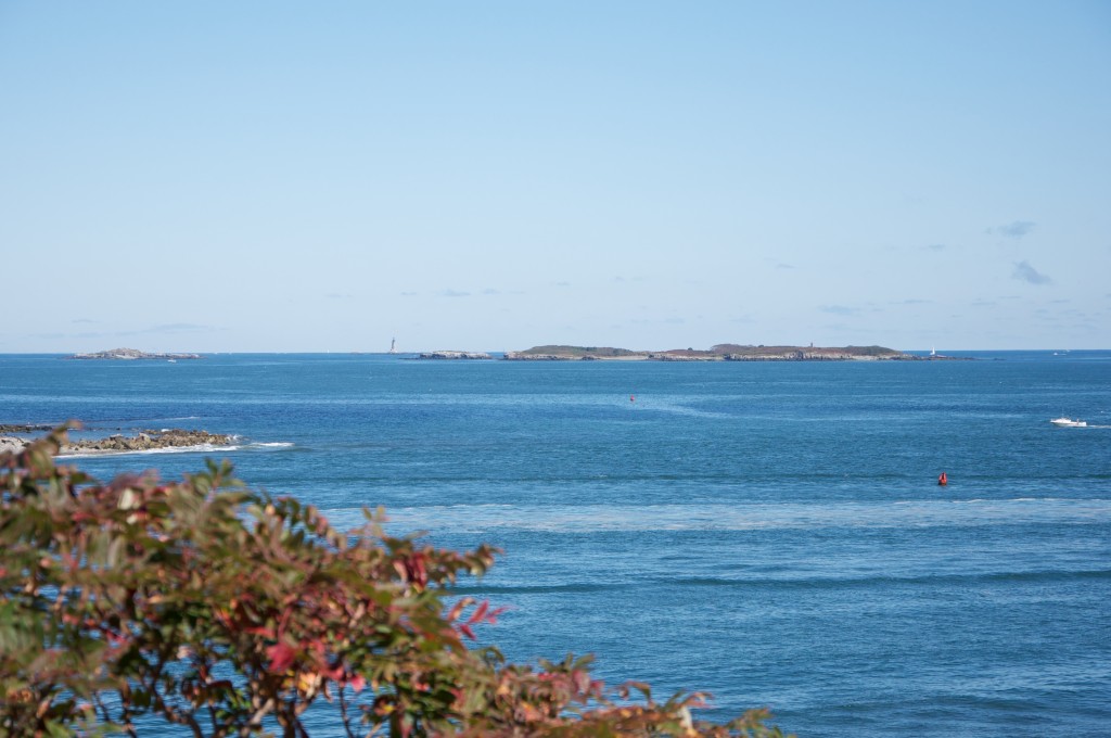 boston harbor view 