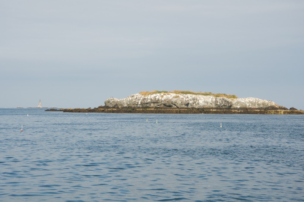 boston harbor