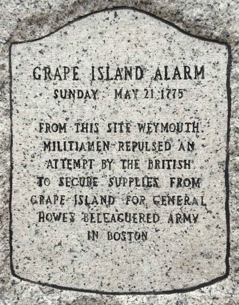 grape island alarm