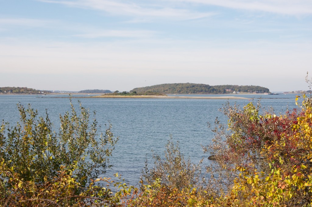 grape island