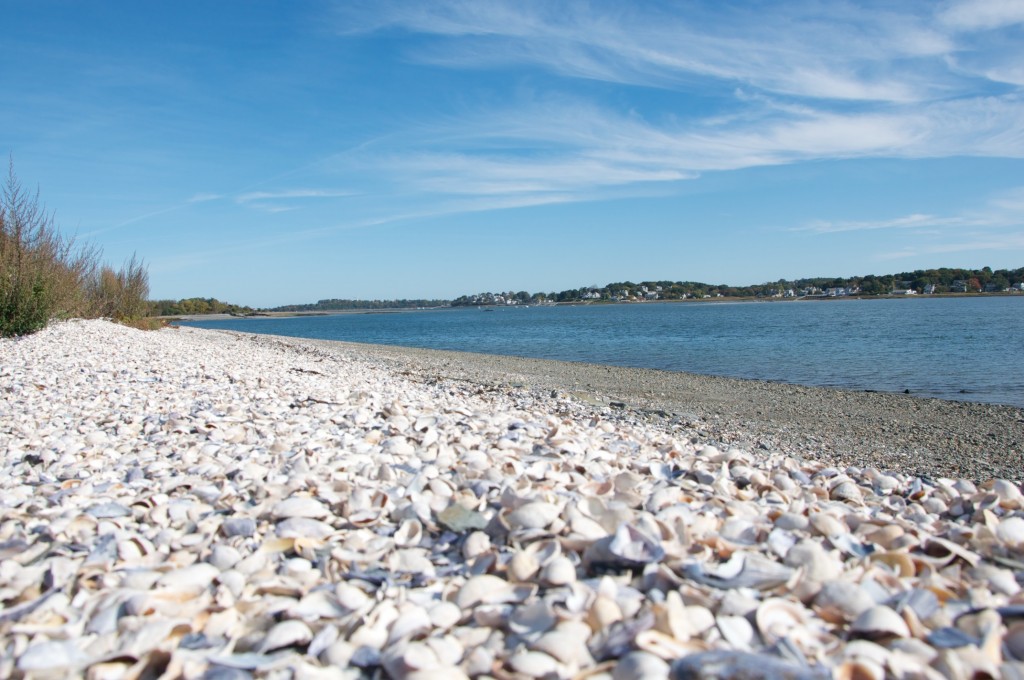 grape island shore