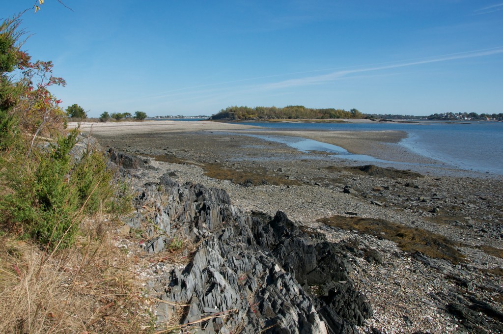 grape island