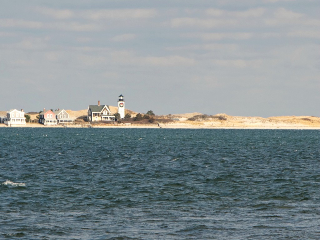 cape cod