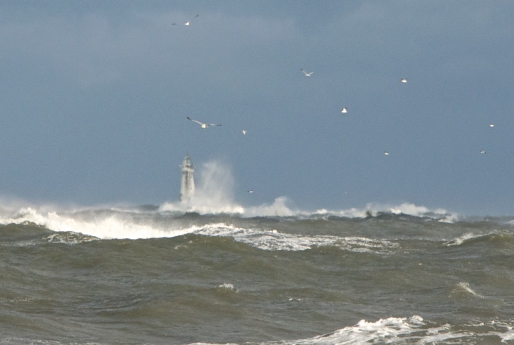 cohasset storm