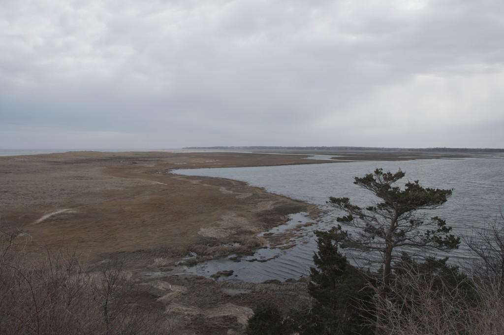 cape cod