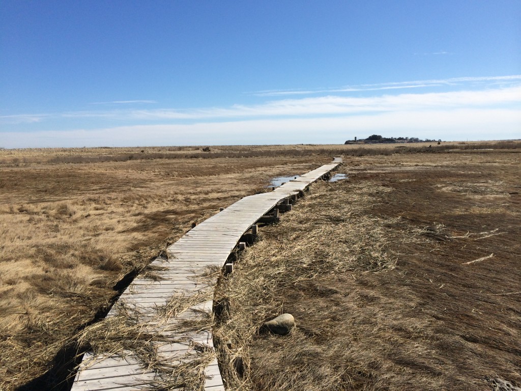 scituate spit