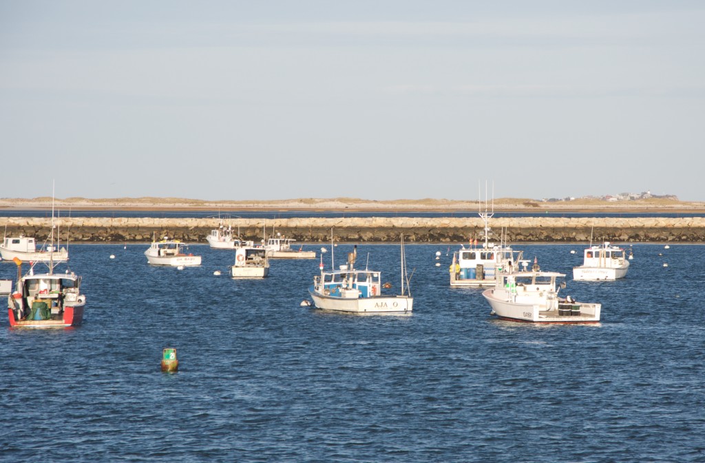 Plymouth Harbor Winter