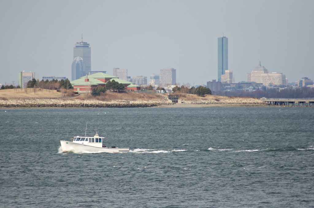 boston harbor