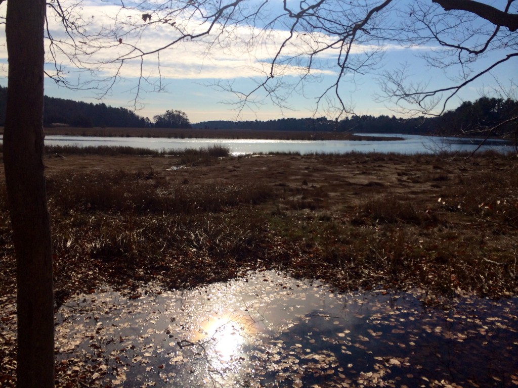 Norris Reservation