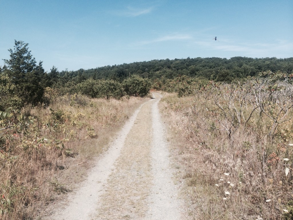 Boston harbor trails