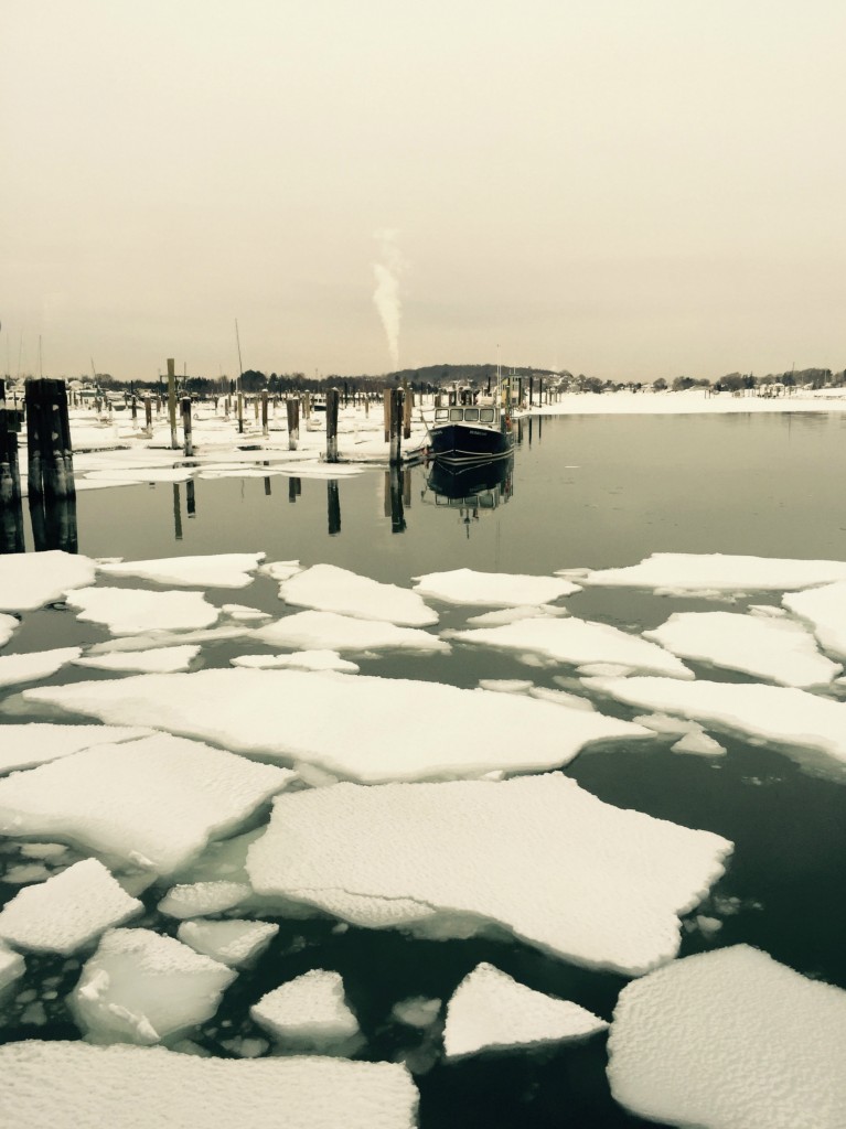 Hewitts cove ice